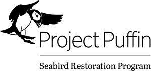 8814789_14_Project-Puffin_BLK-H