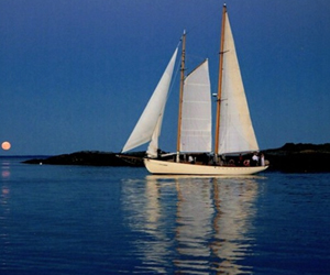 SchoonerHeron300x250